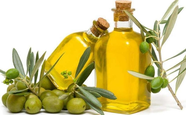 上海橄欖油進口清關(guān)