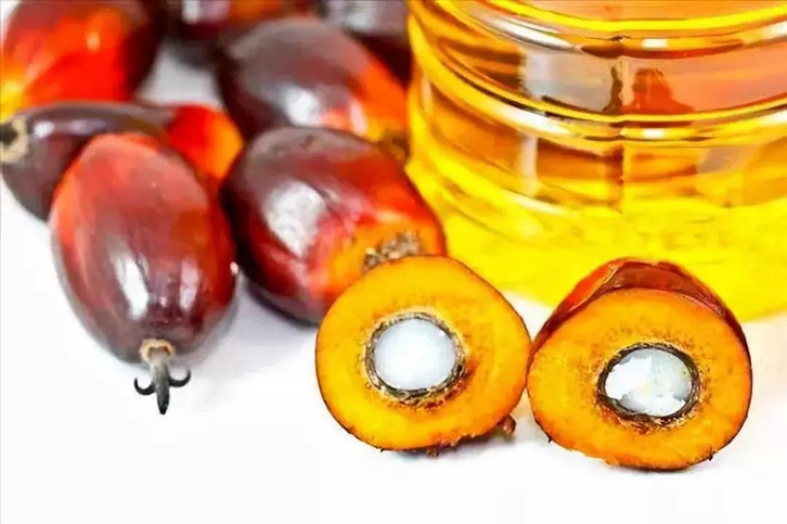 進口印尼棕櫚油報關(guān)流程