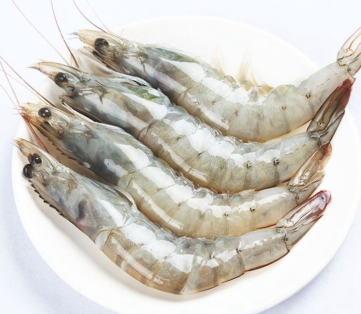 馬來西亞冷凍蝦進口報關(guān)公司