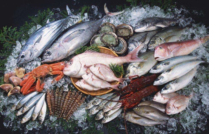 進(jìn)口海鮮報(bào)關(guān)流程