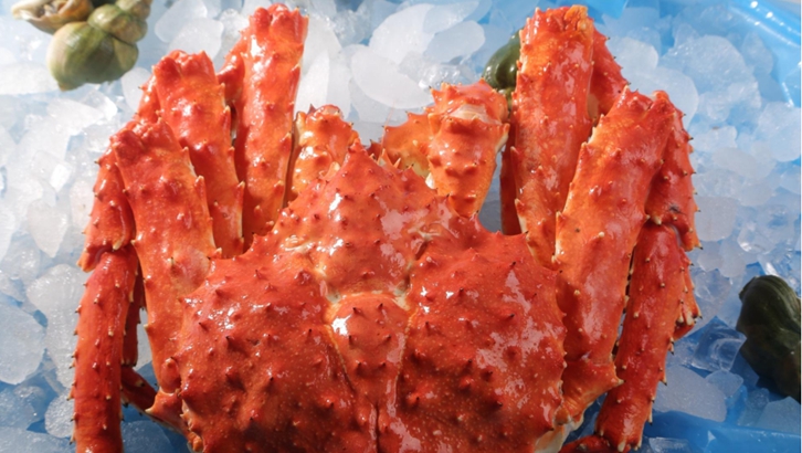 青島進(jìn)口俄羅斯帝王蟹清關(guān)流程