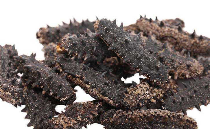 海參進(jìn)口報關(guān)手續(xù)