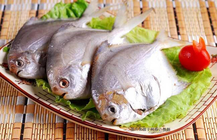 廣州南沙凍鯧魚進口報關資料