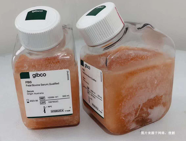 進口新西蘭牛血清蛋白報關資質