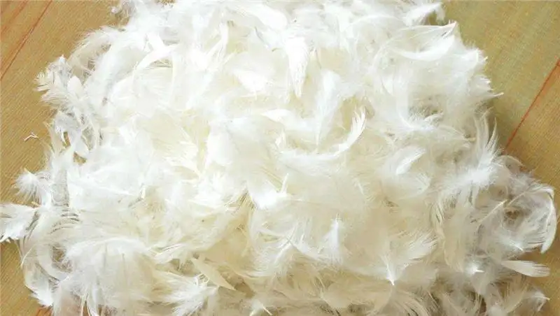 鴨毛進口報關(guān)流程