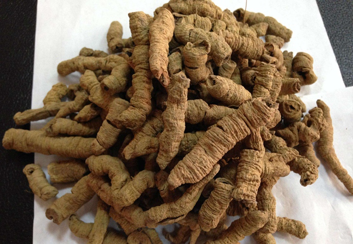 進口藥材巴戟天報關(guān)