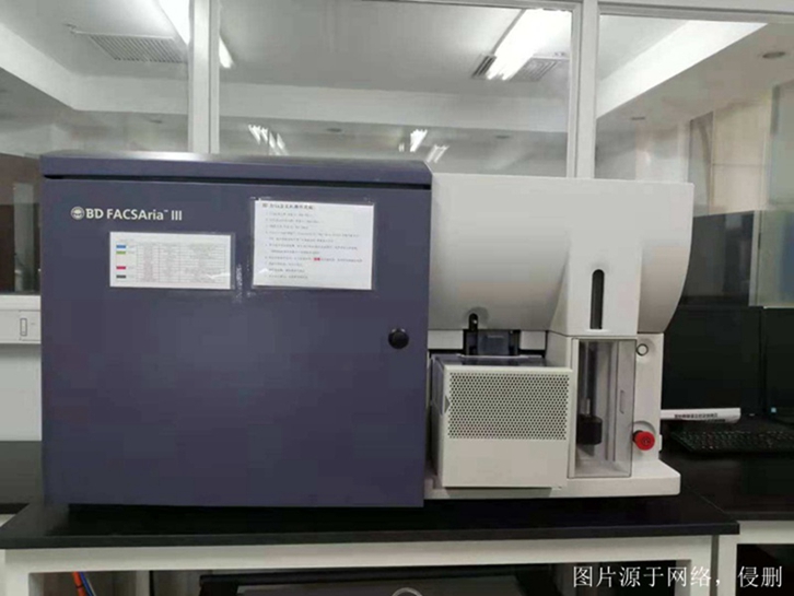 深圳進口舊設備報關流程