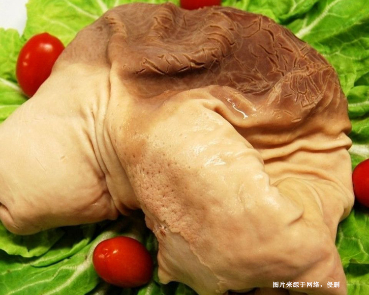 上海冷凍豬肚進口報關流程