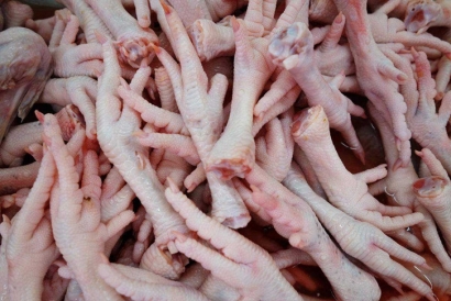 深圳雞爪進口清關(guān)公司一站式雞爪進口門到門服務(wù)