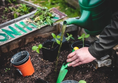 植物培養液進口報關報檢流程手續以及資料