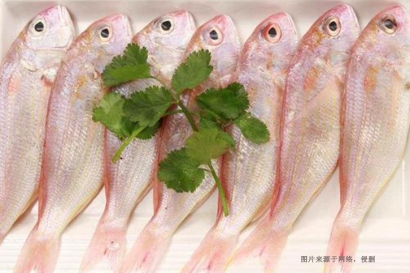 2分鐘看懂進(jìn)口巴基斯坦金線魚(yú)報(bào)關(guān)流程及費(fèi)用
