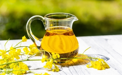 進口菜籽油報關(guān)的詳細流程，get！