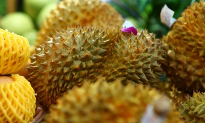 泰國進口榴蓮清關公司_榴蓮報關公司