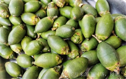 廣西防城港退運(yùn)檳榔到越南以及緬甸怎么操作?