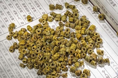 石斛進出口所需要的單證和注意要點