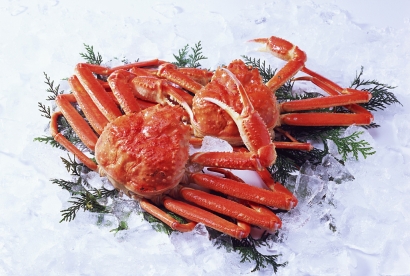 帝王蟹進口清關(guān)代理服務