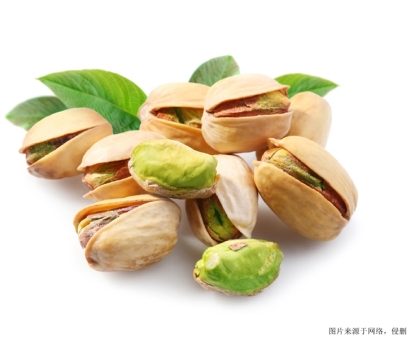 伊朗開心果，東莞食品進口報關公司