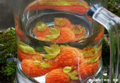 美國覆盆子籽油進(jìn)口清關(guān)費(fèi)用-工業(yè)植物油報(bào)關(guān)行