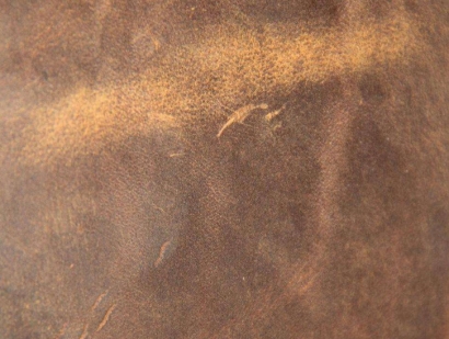 (非食用動物產品)巴西馬屬動物皮張進口報關流程