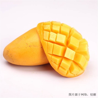 越南芒果進(jìn)口清關(guān)流程_胡志明港海運(yùn)水果到廣州