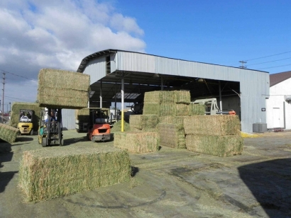 天津苜蓿草進口報關公司：苜蓿草進口資質資料