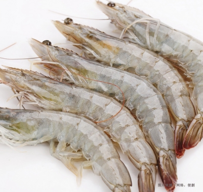 大連進(jìn)口厄瓜多爾白蝦報關(guān)流程-冷凍水產(chǎn)品報關(guān)行