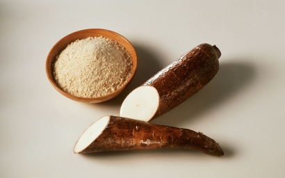 深圳木薯淀粉進口清關(guān)代理服務(wù)