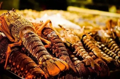 加拿大進口波士頓龍蝦報關到上海機場水產品案例