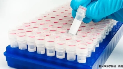 上海進(jìn)口生物試劑報(bào)關(guān)流程_進(jìn)口生物試劑上海報(bào)關(guān)步驟