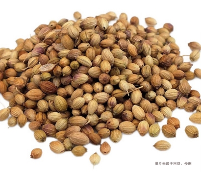 廣州南沙港進(jìn)口印度芫荽子報(bào)關(guān)流程_香料通關(guān)要點(diǎn)