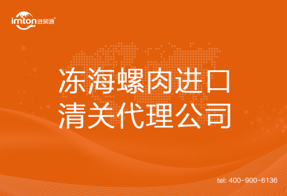 凍海螺肉進口清關代理公司