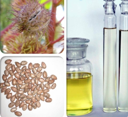 蓖麻油進口關稅_蓖麻油進口報關申報所需文件