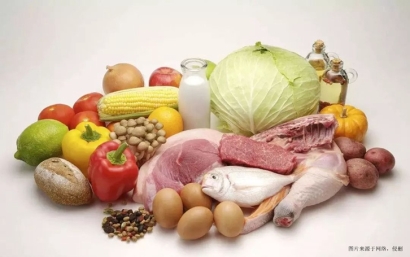 廈門進口食品報關(guān)代理：要點、細節(jié)與廣州臻力