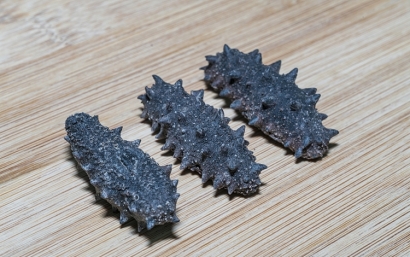 仿刺參進(jìn)口報(bào)關(guān)檢驗(yàn)檢疫需要的資料