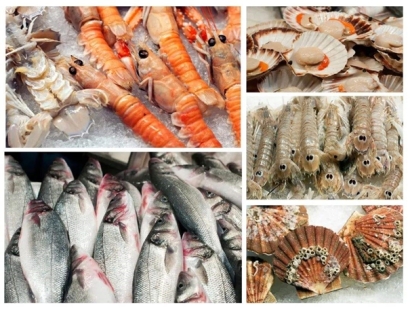 湛江海鮮報關公司哪家好_湛江水產品報關
