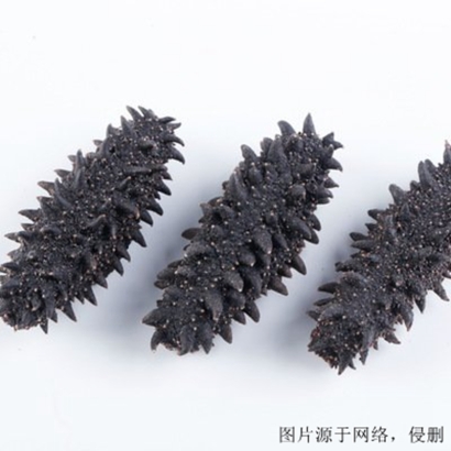 挪威進口海參清關(guān)怎么辦理_海參進口報關(guān)流程資料