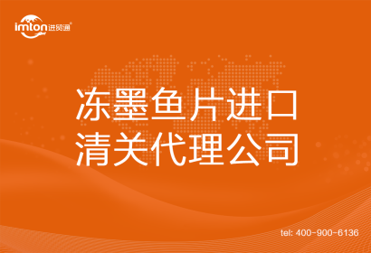 凍墨魚片?進口清關(guān)代理公司
