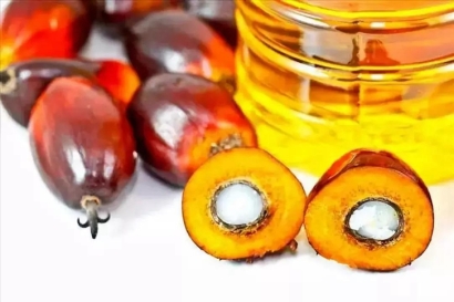 進口印尼棕櫚油報關代理_廣州棕櫚油進口關稅