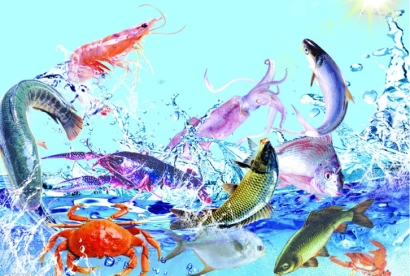 越南生鮮進口清關流程及費用詳解：有哪些細節需要注意？