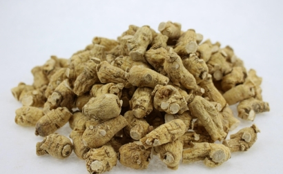 藥材進(jìn)口報關(guān)代理公司告訴你關(guān)于海運(yùn)藥材相關(guān)知識