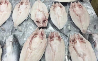 了解！進(jìn)口越南巴沙魚(yú)代理報(bào)關(guān)報(bào)檢流程