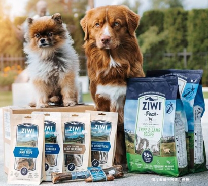 上海進口寵物食品報關流程8步_寵物零食罐頭清關