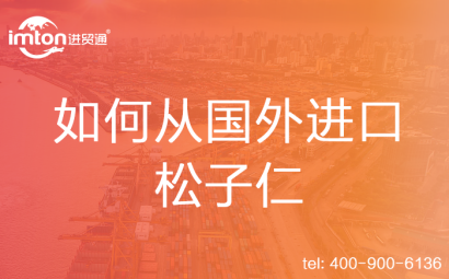 如何從國外進口松子仁