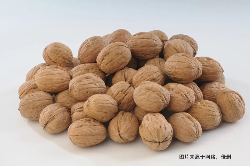 天津核桃進口清關(guān)費用 天津核桃進口清關(guān)費用