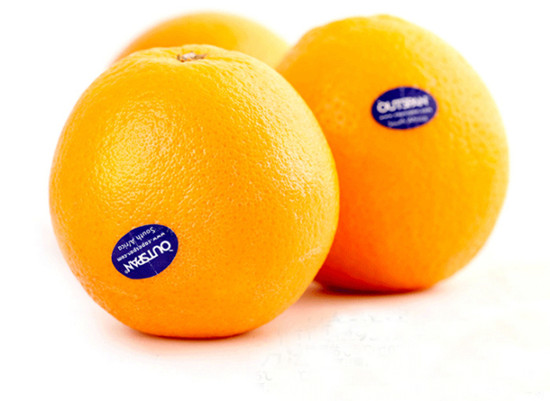 1583113004425951.jpg 90e6410659b34ec18877f6f4a57bb868_副本.jpg