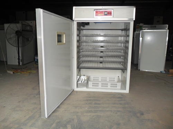 深圳鳥類產(chǎn)品孵化儀器設(shè)備進(jìn)口報(bào)關(guān)代理 深圳鳥類產(chǎn)品孵化儀器設(shè)備進(jìn)口報(bào)關(guān)代理