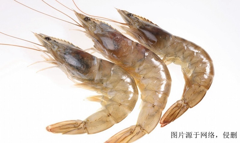 欽州進口越南對蝦報關資料 欽州進口越南對蝦報關資料