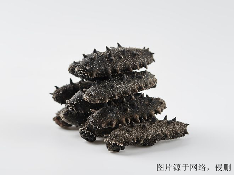 進口越南仿刺參清關流程 進口越南仿刺參清關流程