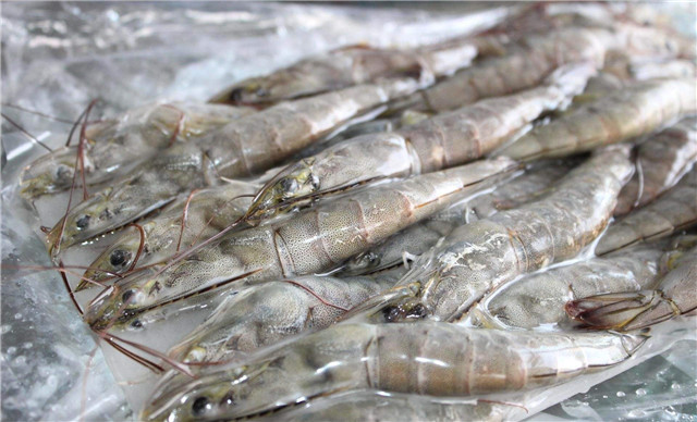 越南蝦進口報關流程技巧講解，get到了嗎