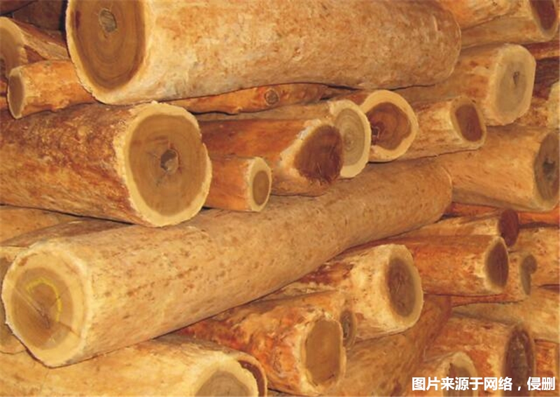 1677750256364916.jpg 進口印度檀香木報關_副本.jpg